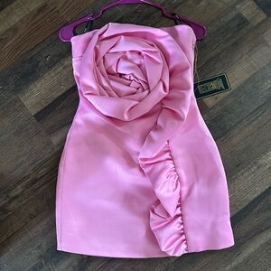 Forever 21 wicked Dress